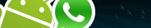 Whatsapp ke stažení zdarma do mobilu